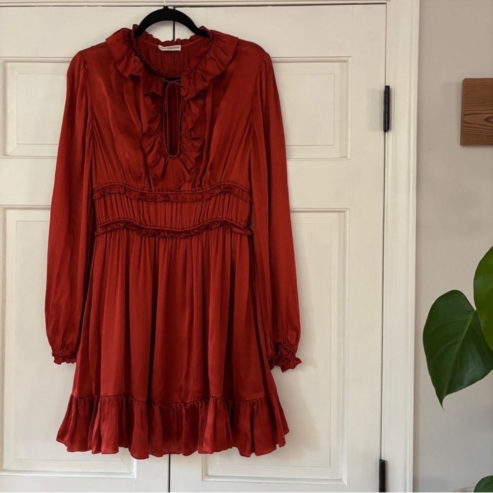 Ulla Johnson Callista Mini Dress in Rusted gold Crimson sz 4 - Picture 4 of 7